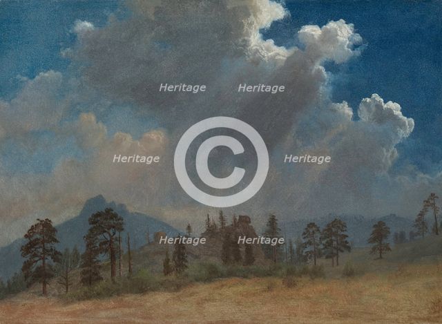 Fir Trees and Storm Clouds, c. 1870. Creator: Albert Bierstadt (American, 1830-1902).