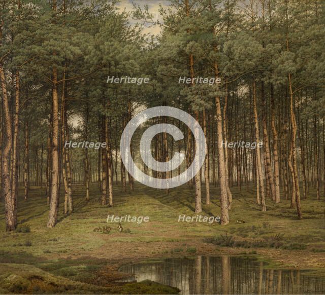 Fir Wood at Putte, 1883. Creator: Jean Pierre François Lamoriniere.