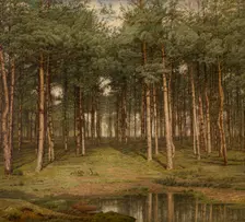 Fir Wood at Putte, 1883. Creator: Jean Pierre François Lamoriniere