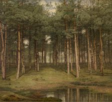 Fir Wood at Putte, 1883. Creator: Jean Pierre François Lamoriniere