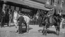 Fire engine horses, between c1910 and c1915. Creator: Bain News Service
