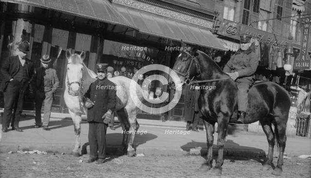Fire engine horses, between c1910 and c1915. Creator: Bain News Service.