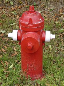 Fire Hydrant in British Columbia, Canada. Creator: Unknown