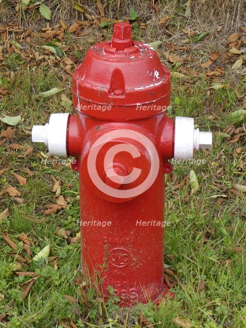 Fire Hydrant in British Columbia, Canada. Creator: Unknown.