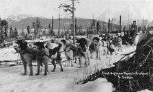 First dog team to go from Nome to Seward, between c1900 and c1930. Creator: S Sexton