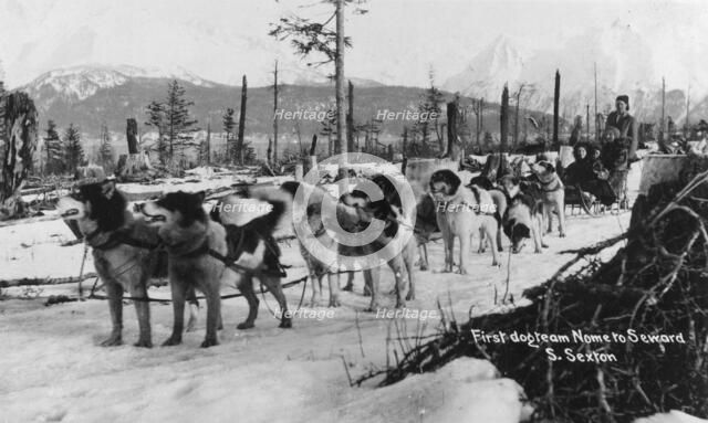 First dog team to go from Nome to Seward, between c1900 and c1930. Creator: S Sexton.