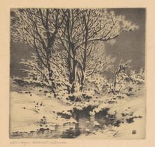 First Snow (No. 1), c. 1914. Creator: George Elbert Burr