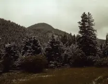 First snow of the season in the foothills of the Little Belt Mount...Meagher County, Montana, 1942. Creator: Russell Lee