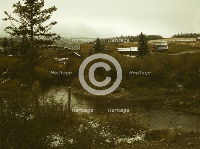 First snow of the season in the foothills of the Little Belt Mount..., Meagher County, Montana, 1942 Creator: Russell Lee.