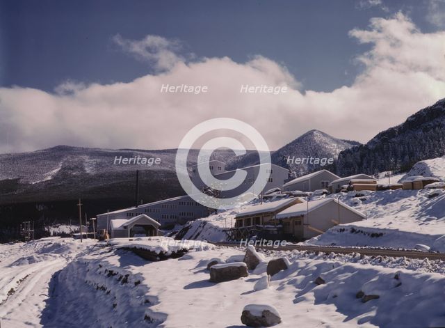 First snow of the season in the foothills of the Little Belt Mount..., Meagher County, Montana, 1942 Creator: Russell Lee.