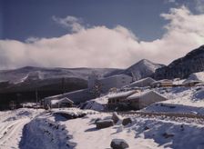 First snow of the season in the foothills of the Little Belt Mount..., Meagher County, Montana, 1942 Creator: Russell Lee