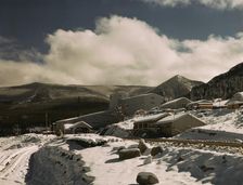 First snow of the season in the foothills of the Little Belt Mount..., Meagher County, Montana, 1942 Creator: Russell Lee