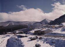 First snow of the season in the foothills of the Little Belt Mount..., Meagher County, Montana, 1942 Creator: Russell Lee