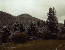First snow of the season in the foothills of the Little Belt Mount...Meagher County, Montana, 1942. Creator: Russell Lee
