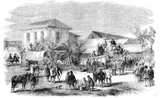 First Sale of Sugar in the Market Square of D'Urban, Port Natal, 1856. Creator: Unknown