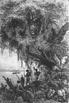 First Steamboat on the Orinoco; A Journey up the Orinoco 1875. Creator: Unknown