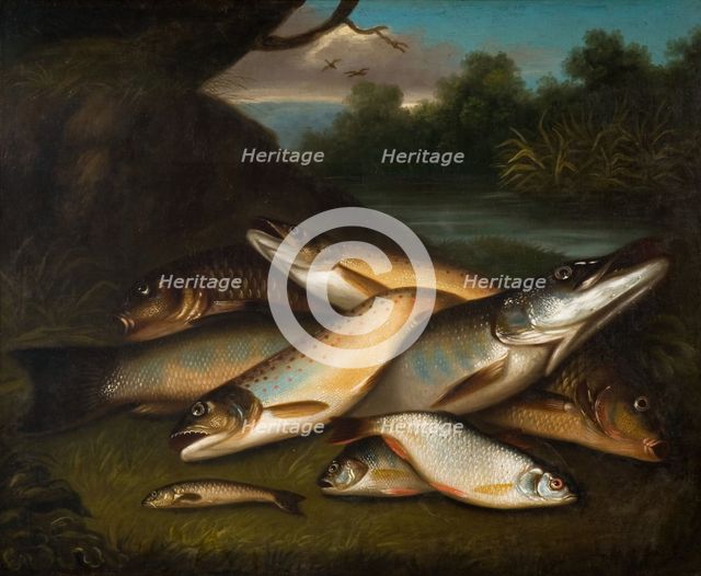 Fish, 1790. Creator: Moses Haughton.