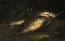 Fish, 1842. Creator: Shepard Alonzo Mount