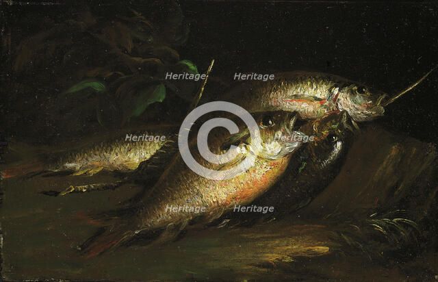 Fish, 1842. Creator: Shepard Alonzo Mount.