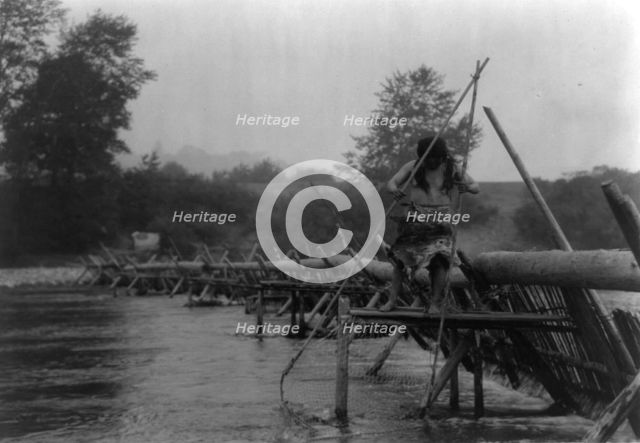 Fish-weir across Trinity River-Hupa, 1923. Creator: Edward Sheriff Curtis.