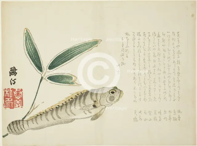 Fish and Bamboo, Japan, 1860s. Creator: Maezawa Otei.