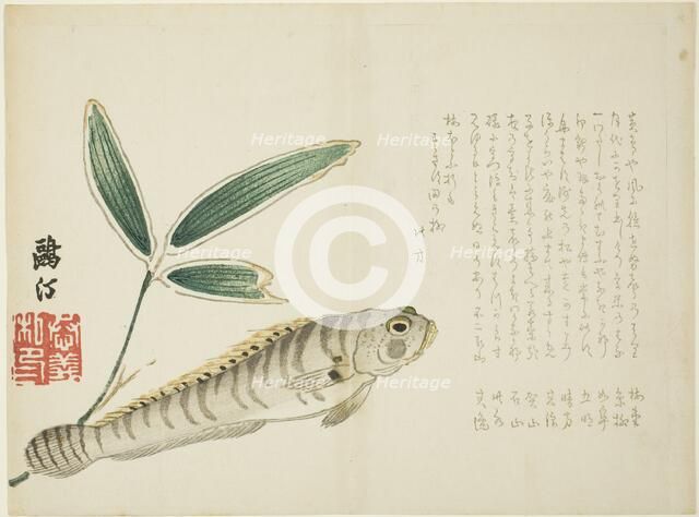 Fish and Bamboo, Japan, 1860s. Creator: Maezawa Otei.