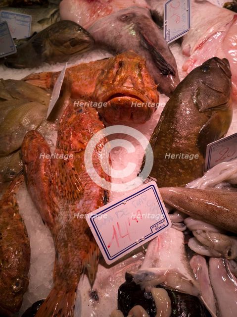Fish at La Bouqueria, Barcelona, Spain, 2020. Creator: Ethel Davies.
