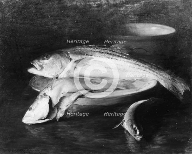 Fish, by 1910. Creator: William Merritt Chase.