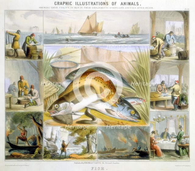 Fish, c1850. Artist: Robert Kent Thomas 