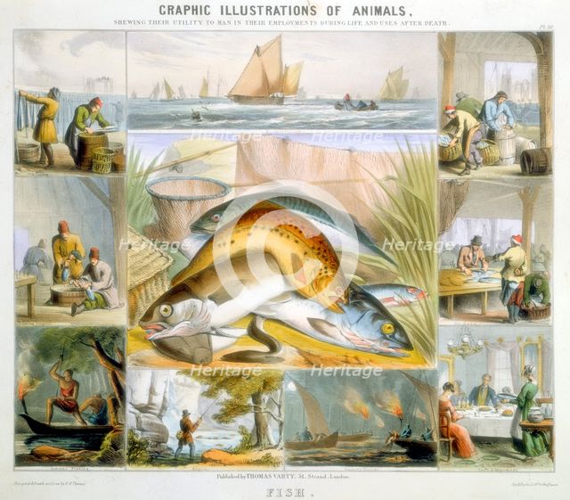 Fish, c1850. Creator: Robert Kent Thomas.