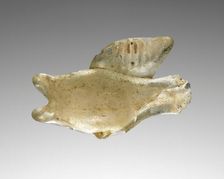 Fish Flask, 3rd century A.D. Creator: Unknown