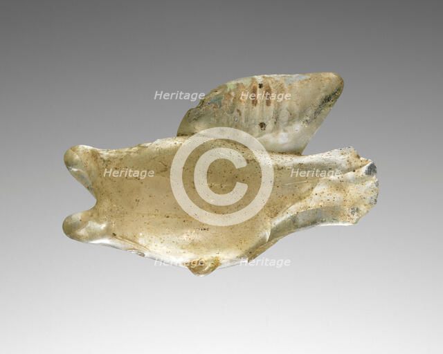 Fish Flask, 3rd century A.D. Creator: Unknown.