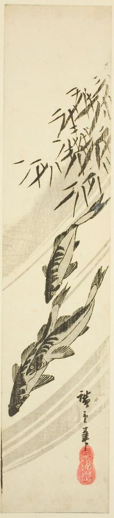 Fish in a stream, c. 1840. Creator: Ando Hiroshige