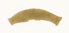 Fish Pendant, Shang or Western Zhou period, 13th/10th century B.C. Creator: Unknown
