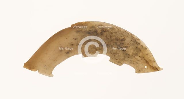 Fish Pendant, Shang or Western Zhou period, 13th/10th century B.C. Creator: Unknown.