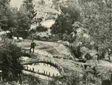 Fish Ponds, Ercildoune, near Ballarat 1901. Creator: Unknown