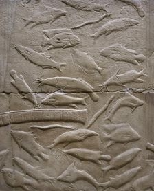 Fish relief, Mastaba of Kagemni, Saqqara, Egypt, Old Kingdom, 6th Dynasty, 2350 BC (2003). Creator: Unknown