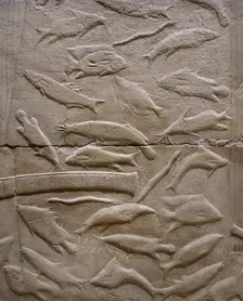Fish relief, Mastaba of Kagemni, Saqqara, Egypt, Old Kingdom, 6th Dynasty, 2350 BC (2003). Creator: Unknown