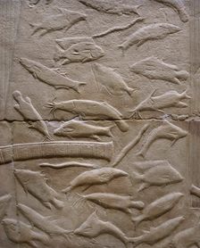 Fish relief, Mastaba of Kagemni, Saqqara, Egypt, Old Kingdom, 6th Dynasty, 2350 BC (2003). Creator: Unknown
