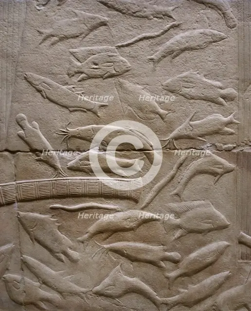 Fish relief, Mastaba of Kagemni, Saqqara, Egypt, Old Kingdom, 6th Dynasty, 2350 BC (2003). Creator: Unknown.