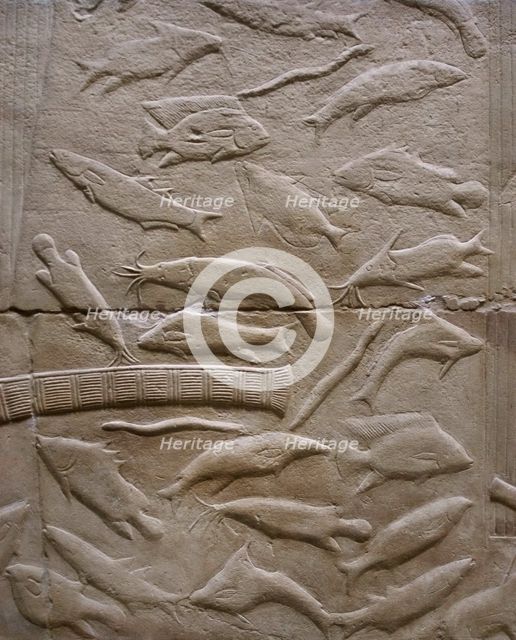 Fish relief, Mastaba of Kagemni, Saqqara, Egypt, Old Kingdom, 6th Dynasty, 2350 BC (2003). Creator: Unknown.