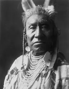 Fish Shows, an Apsaroke Indian, head-and-shoulders portrait, facing front, pompadour..., c1908. Creator: Edward Sheriff Curtis