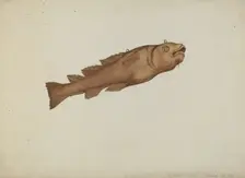 Fish Shop Sign, c. 1938. Creator: Joseph Goldberg