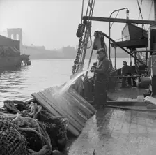 Fisherman washing off the slats used to hold fish during the trip down from New..., New York, 1943. Creator: Gordon Parks