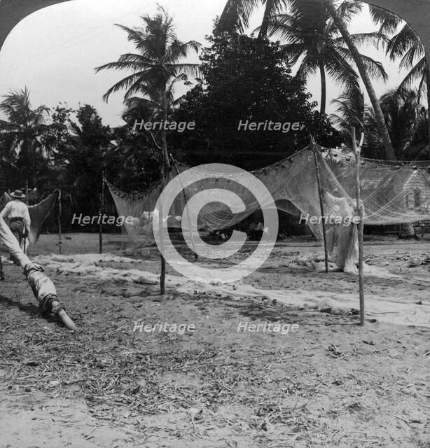 Fishermen drying their nets on the beach, Basseterre, St Christopher, West Indies.Artist: HC White