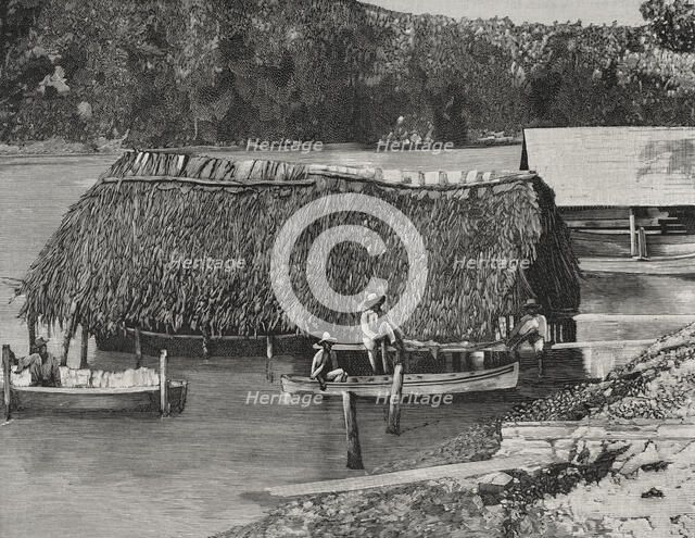 Fishermen from Cayo Smith, Santiago de Cuba, Cuba, 1898. Creator: Unknown.