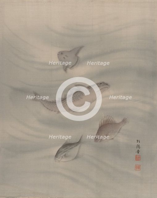 Fishes, ca. 1890-92. Creator: Seki Shuko.