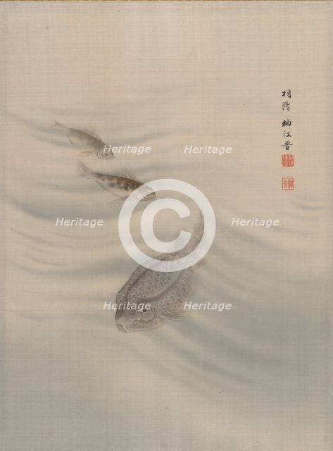 Fishes, ca. 1890-92. Creator: Seki Shuko.