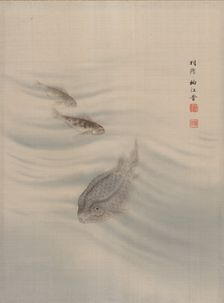Fishes, ca. 1890-92. Creator: Seki Shuko