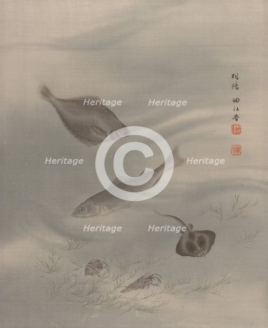 Fishes, ca. 1890-92. Creator: Seki Shuko.